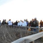 Cambria_0271 (November 02, 2013)